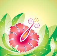 hibiscus flower N16