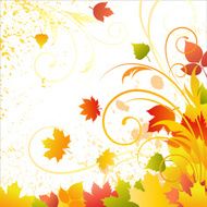 vector autumn background N17