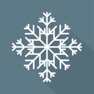 snowflake icon N31