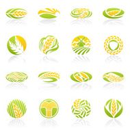 Wheat and rye Icon set