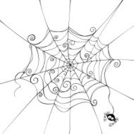 Spooky spider web N4