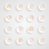 Vector set of contour internal human Icons button shadows N2
