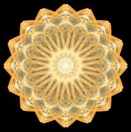 Sunflower N22