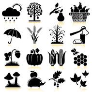 Fall (Autumn) Season black & white vector icon set