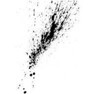 blot N2