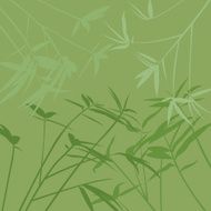 Bamboo Background N34
