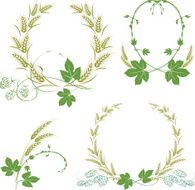 Hop and barley
