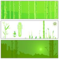 green bamboo N6