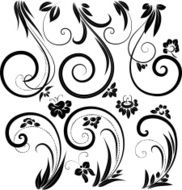 Floral decorative design elements N3