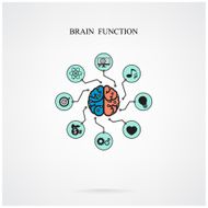 Concept of brain function for education and science N2