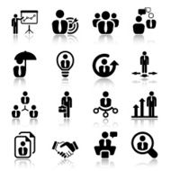 flat business iconset in black with reflex