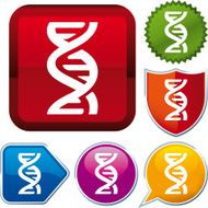 icon series DNA
