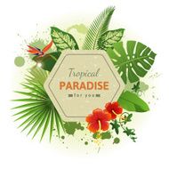 tropical background N28