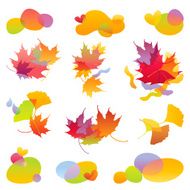 Autumn Design Elements N2