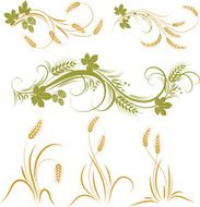 Wheat N33