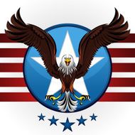 American Bald Eagle N3