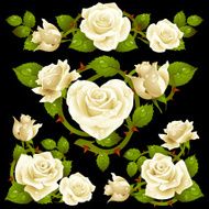 White Rose design elements N2