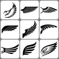 Wings set N11