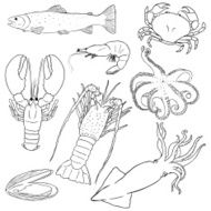 Vector Set of Line Art Sea Food
