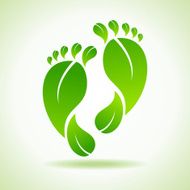 Foot made by green leaves N2