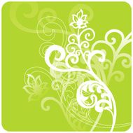 Spring Graphics N2