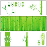 green bamboo N8