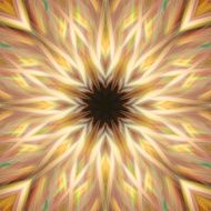 3d flower