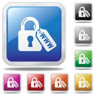 Internet Security Icon
