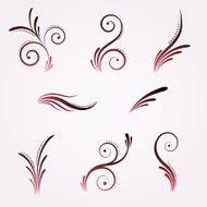 Set of floral elements N25