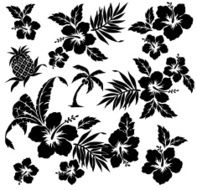 picture of Hibiscus N47
