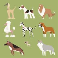Pure breed dog exhibition canine puppy whelp pet collection
