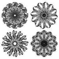 Baroque pattern02 N2