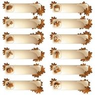 Set of 12 autumnal labels