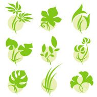 Tropical leaves Elements for design