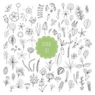 Floral set plants and herbs