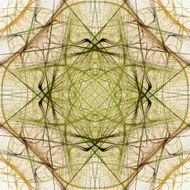 tile N6