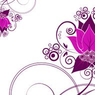 Pink flower on a white background