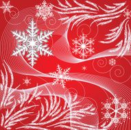 Snowflakes and frost