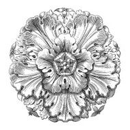 Floral Design Isolated on White (XXXL)
