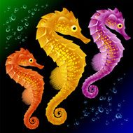 Vector Seahorses