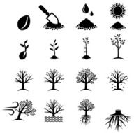 Growing Tree Process black & white vector icon set