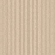 old paper textured vector illustration