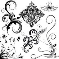 various floral elements