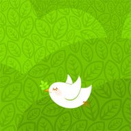 Little peace dove