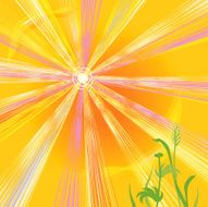 Hot sun of summer