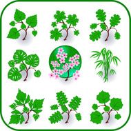 Vector - Green plants leaves trees icon symbol set