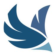 Professional bird logo flying through air mobile application icon brand