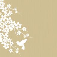 cherry blossom N37