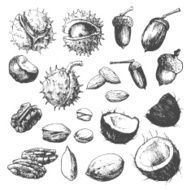 Nut set N2