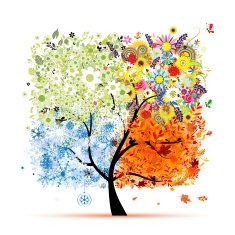 Four seasons - spring summer autumn winter Art tree N2